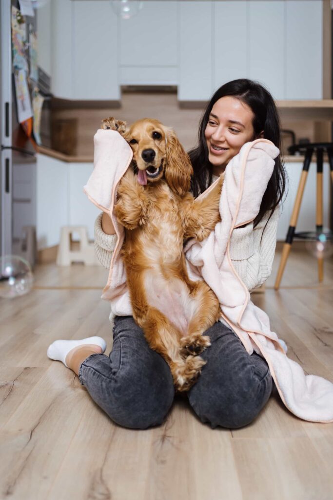 Los perros son animales de rutina y les gusta saber qué esperar