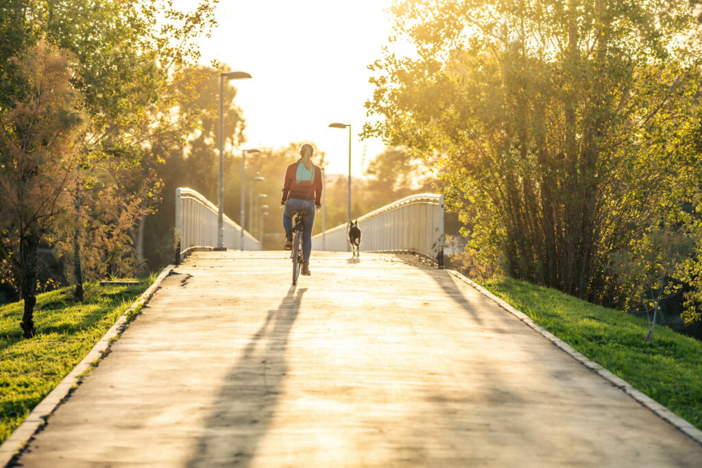 Foto con espacio para copiar de un perro corriendo junto a una mujer en bicicleta durante la puesta de sol