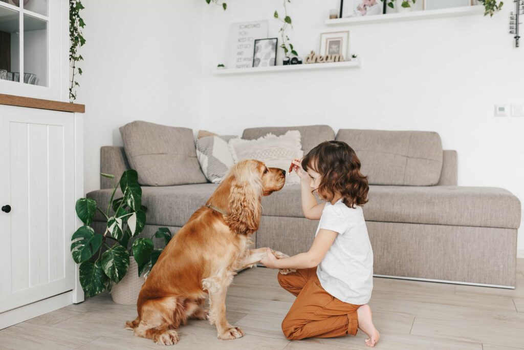 entrenar a tu mascota