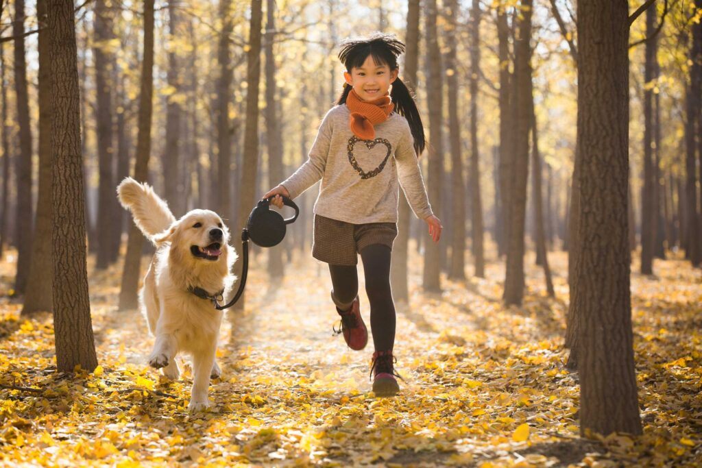 Consejos para disfrutar de paseos al aire libre con su perro